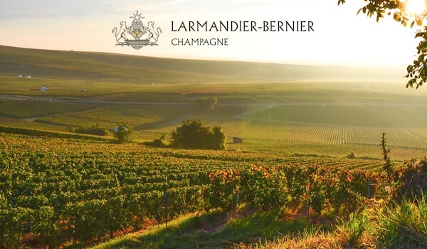 Larmandier Bernier vineyard