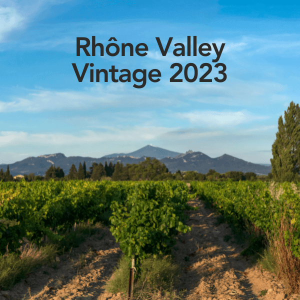 Rhone Valley Vintage 2023