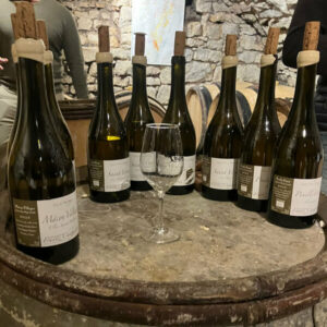 Tasting burgundy en primeur