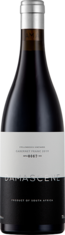 2022 DAMASCENE Cabernet Franc Stellenbosch