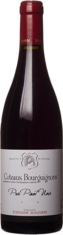 2024 COTEAUX BOURGUIGNONS Pur Pinot Noir Domaine Stéphane Magnien