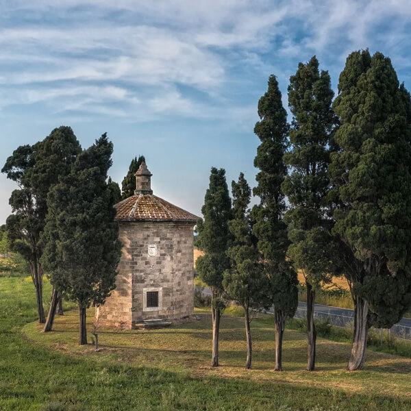 Tenuta San Guido Incisa della Rocchetta